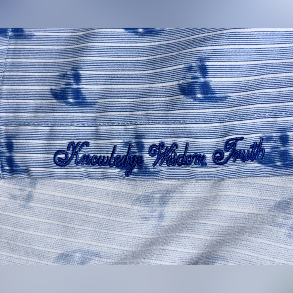 Robert Graham Hockney Cotton Stretch Skull Pinstripe Classic Fit Button Down SZM - Picture 9 of 13